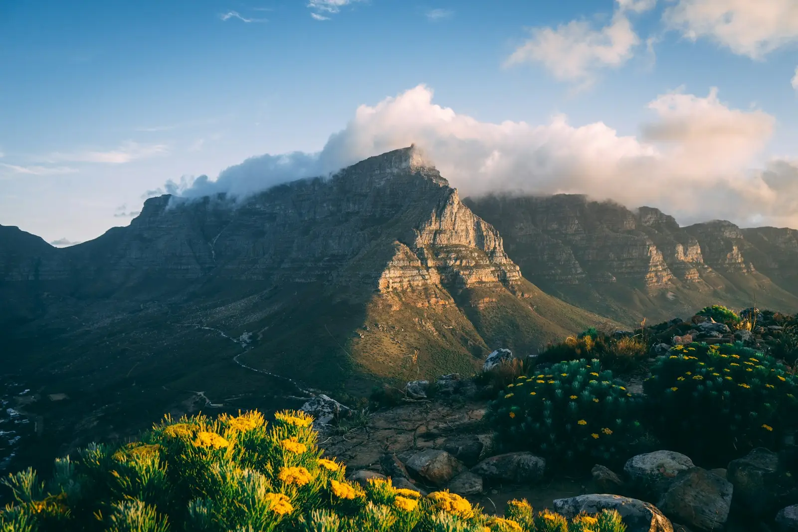 Table Mountain with a cloud over its flat top, above green slopes and yellow fynbos