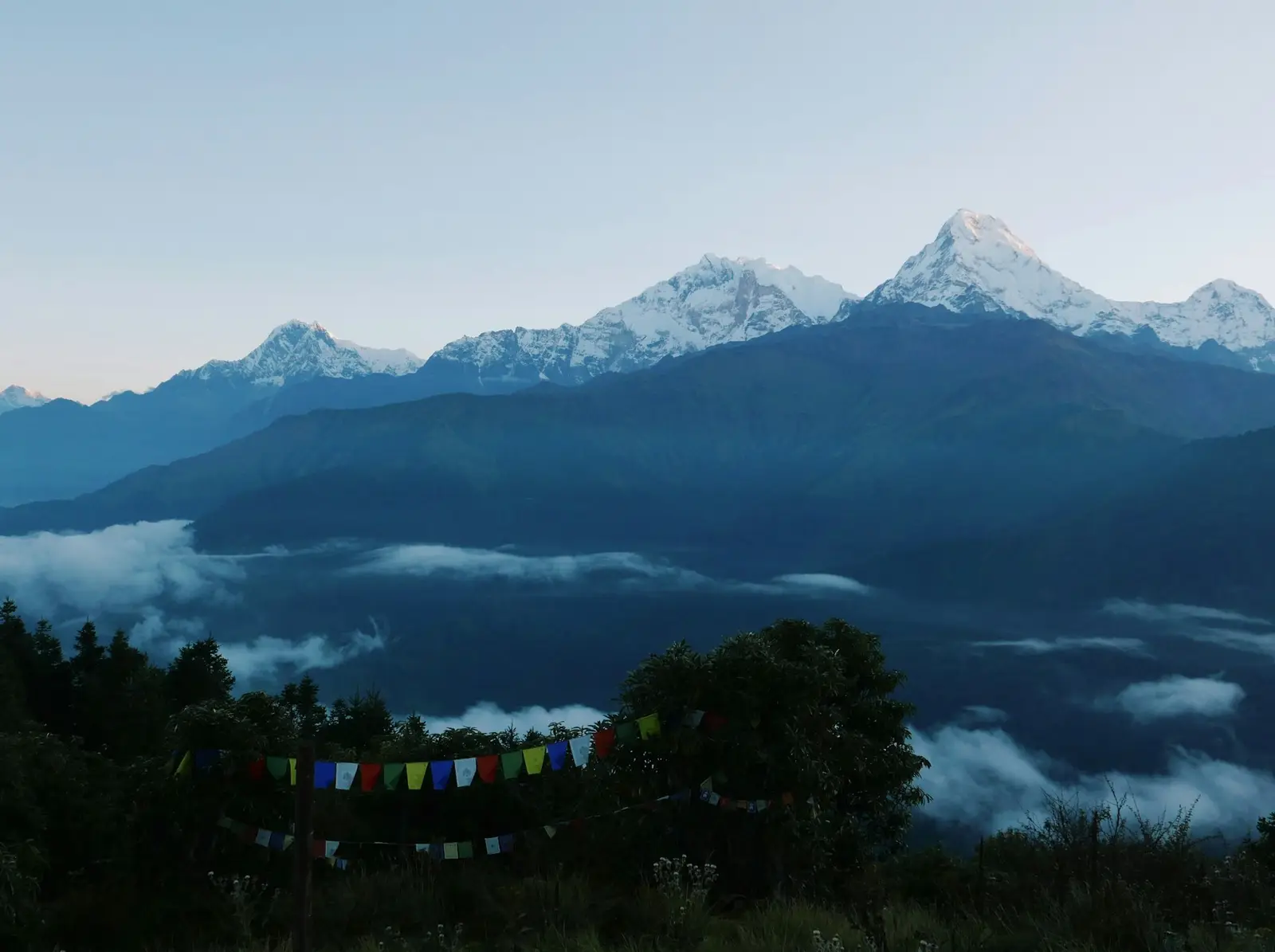 Snowy Annapurna peaks at dawn above a sea of clouds, with prayer flags in the trees