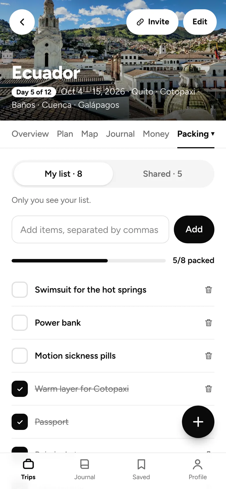 A packing list with items checked off
