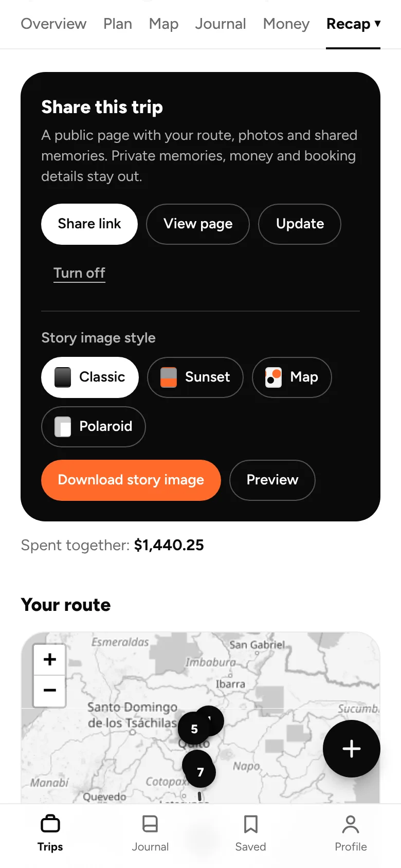 Choosing a style for the trip story image